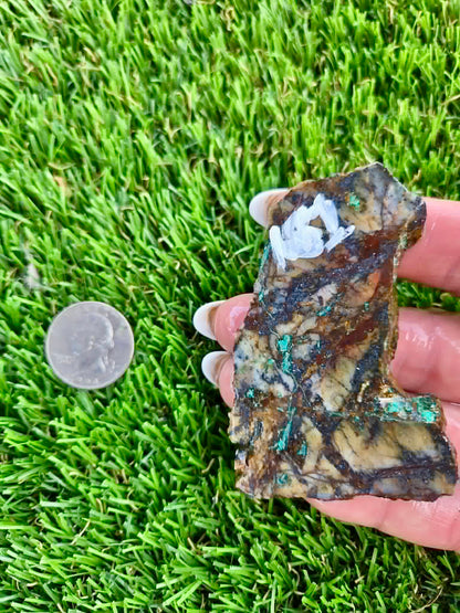 Copper Canyon Chrysocolla Slab 158-165