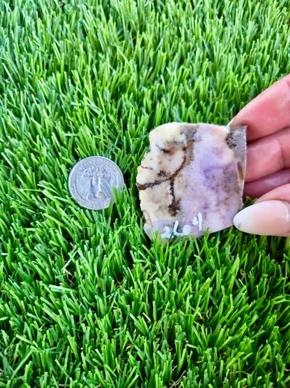 Purple Burro Creek Agate Slab 263-269