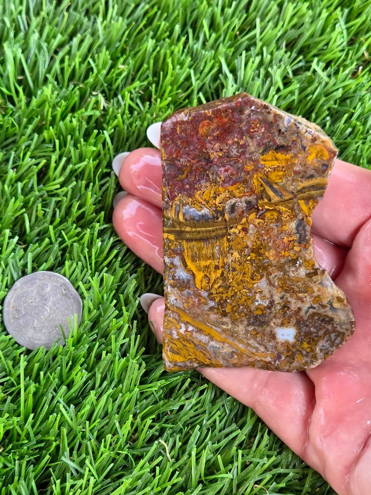 Camp Verde Moss Agate Slabs M591-594