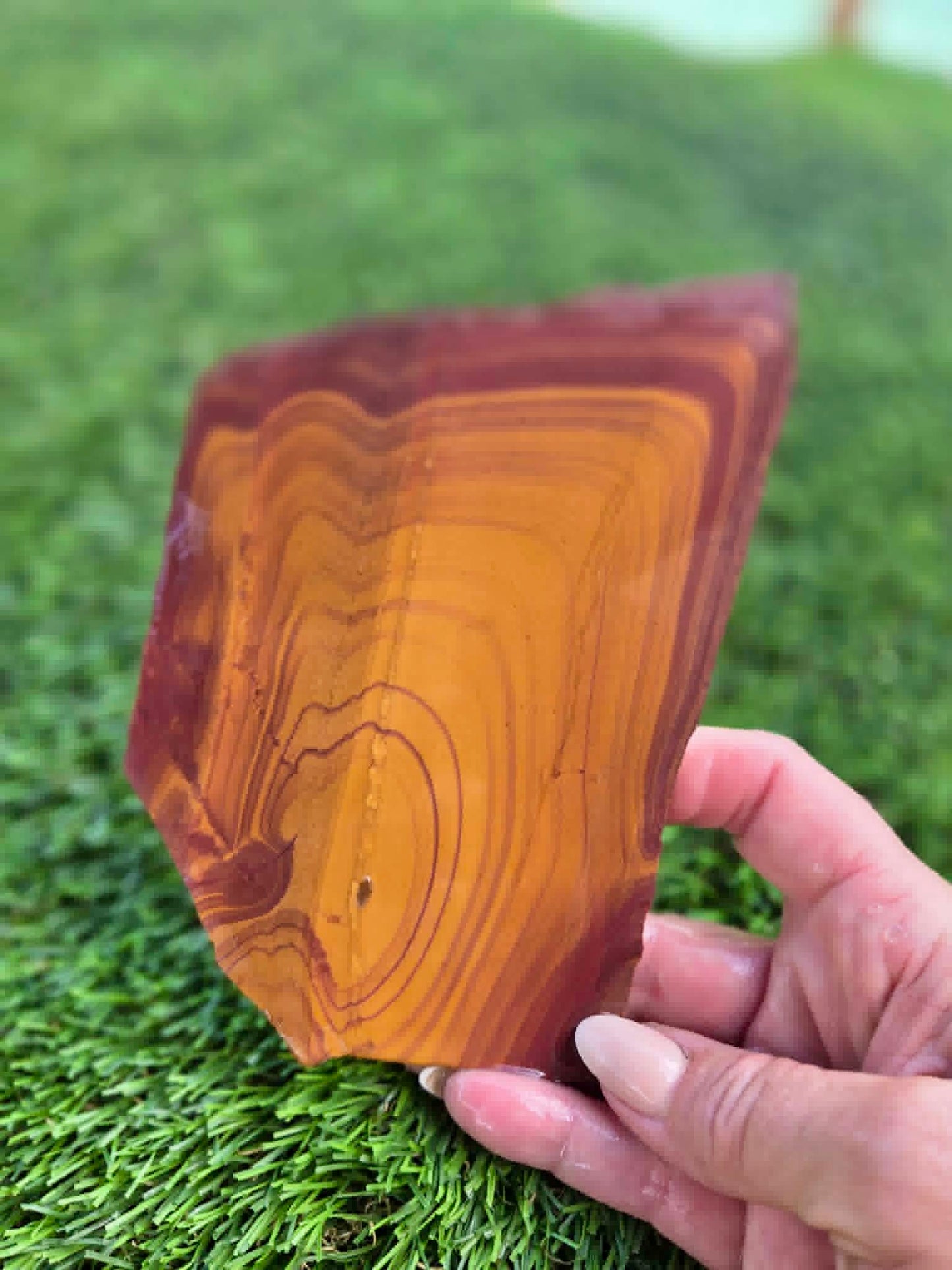 Desert Picture Jasper Slabs G332-334
