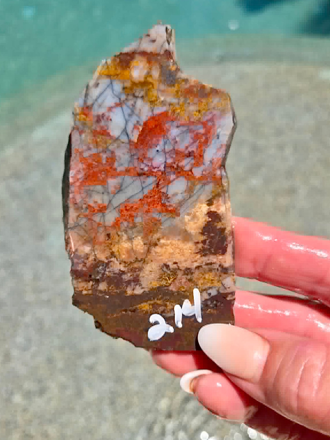 Utah Rainbow Jasper Slab 213-217