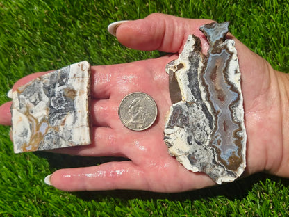 Camp Verde Agate Slab Bundle SB62