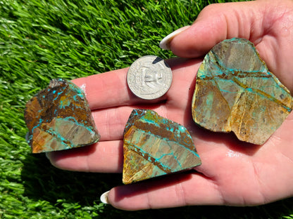 Globe Chrysocolla Slab Bundle-SB49