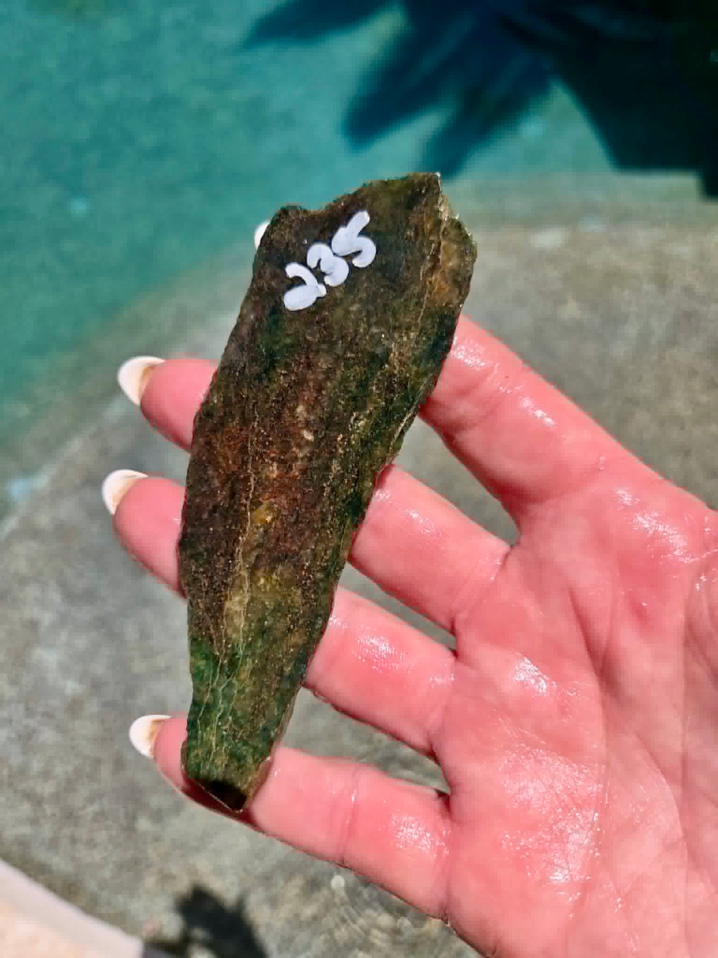 Emerald Forest Jade slab 232-235