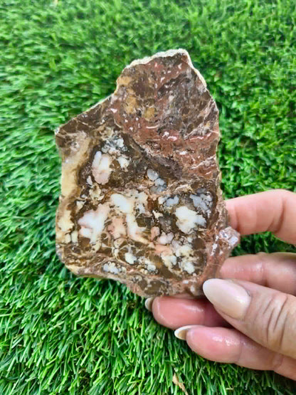 Wild Horse Jasper Slabs G342-348