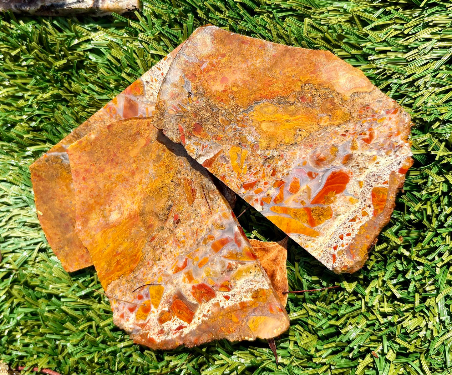 Bloody Basin Mossy Plume Agate