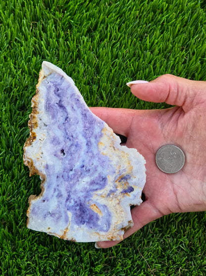 Mexican Morado Opal Slabs T909–912