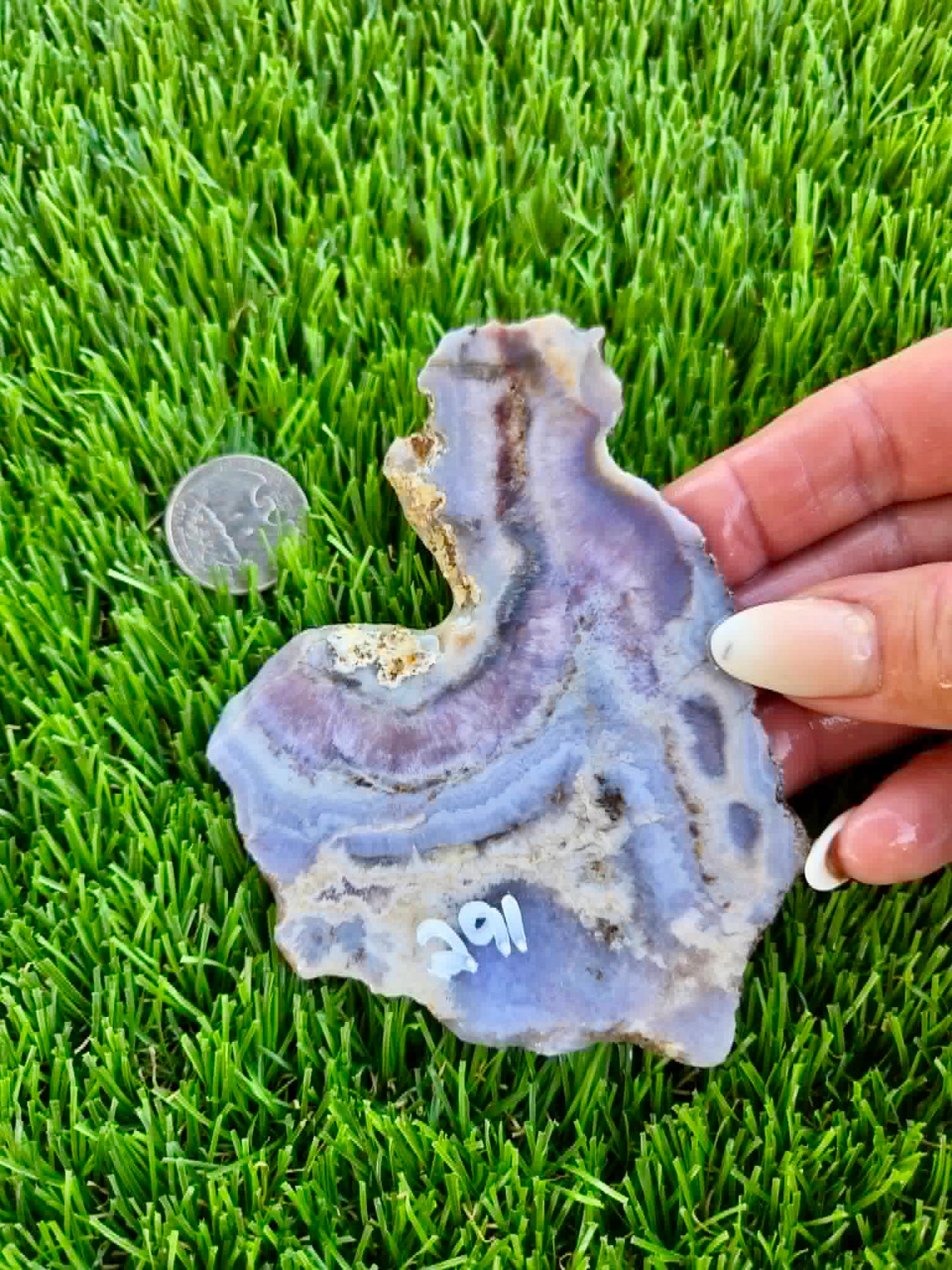 Purple Burro Creek Agate Slab F287-292