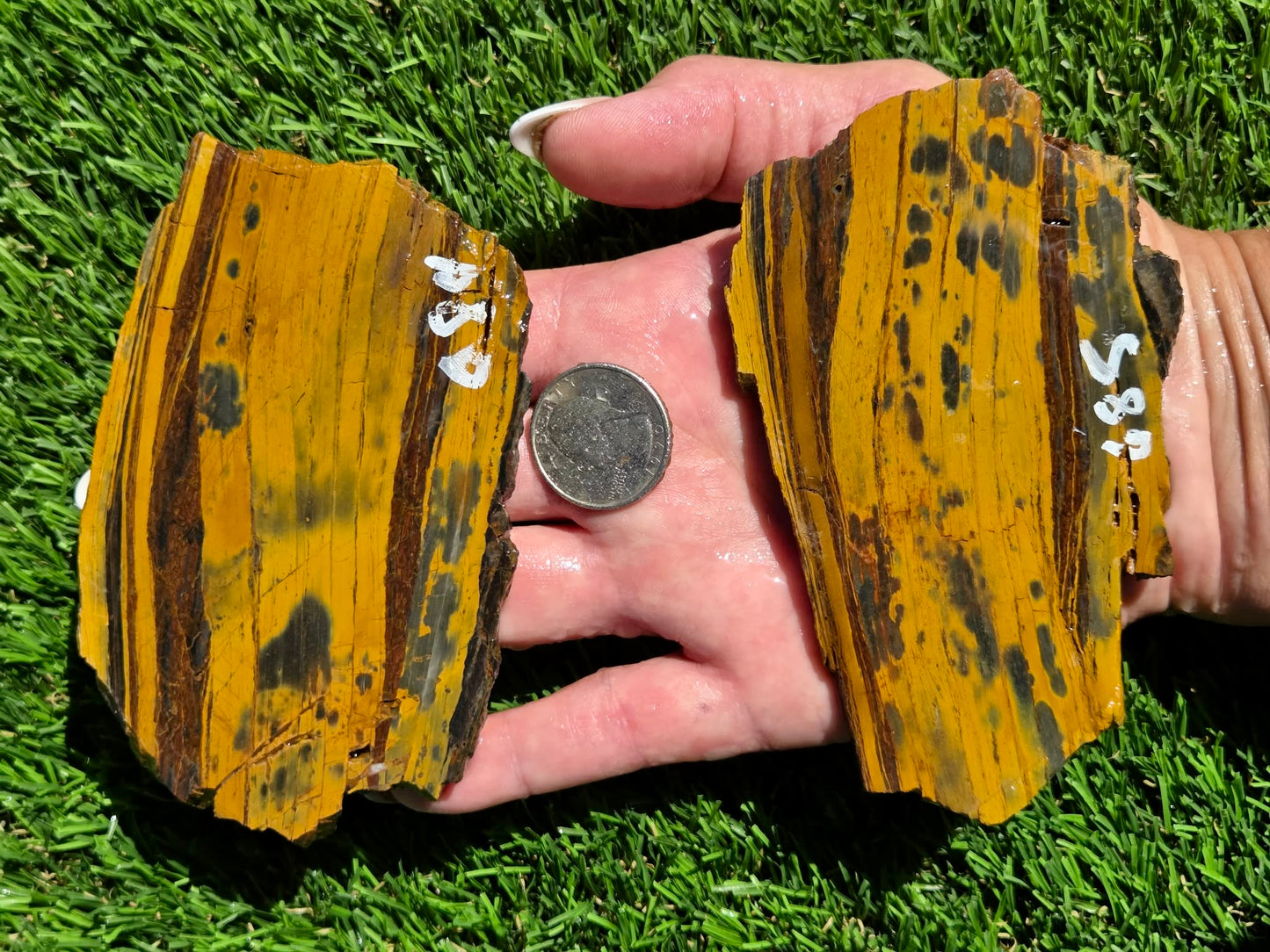 Tiger Iron Slabs O684-685