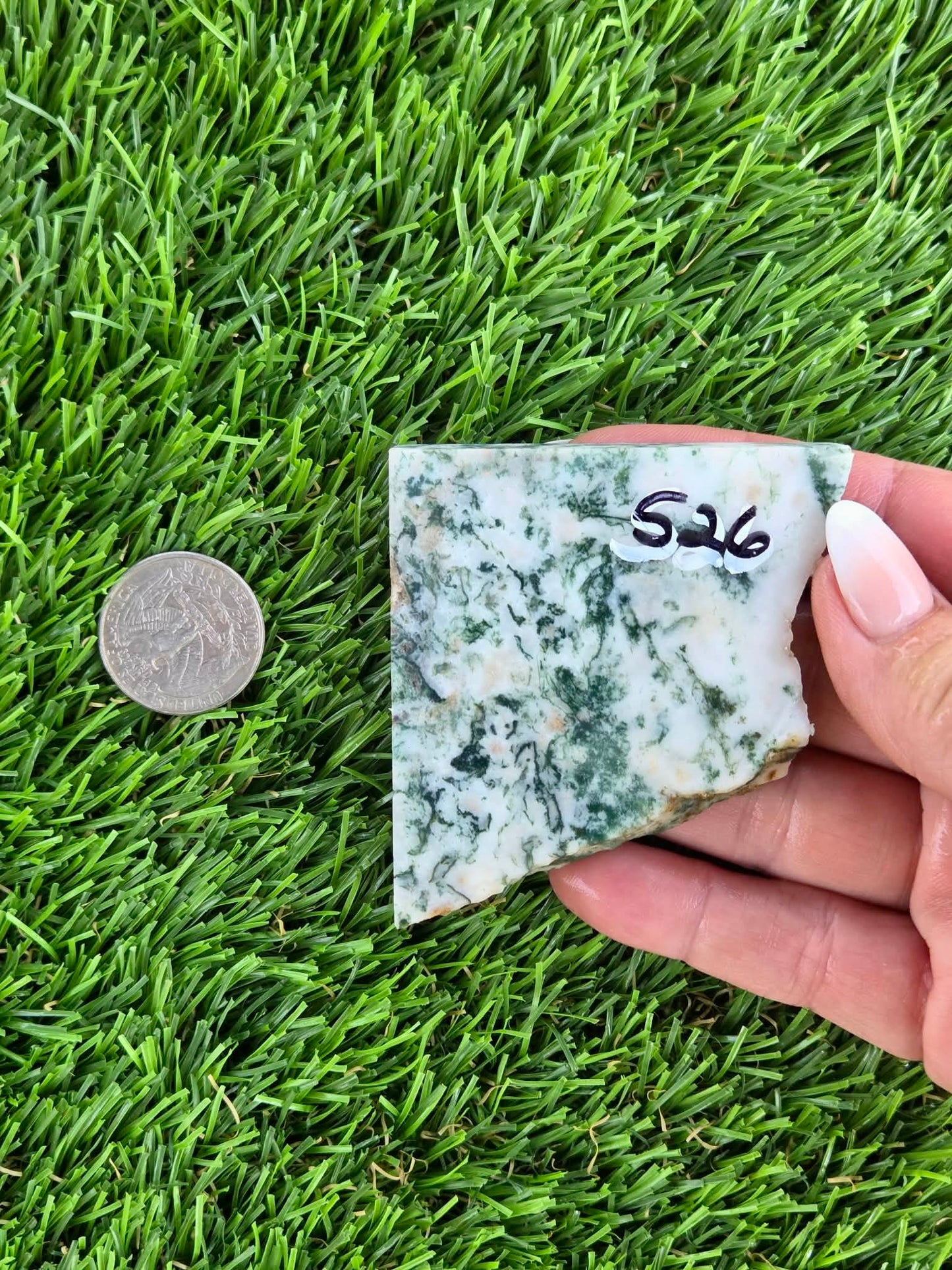 Tree Agate Slabs K523-529