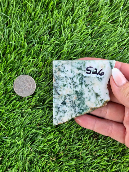 Tree Agate Slabs K523-529