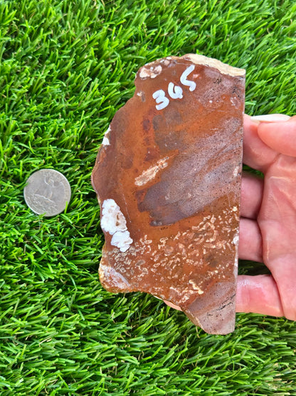 Rustic Red Brecciated Jasper Slabs H363-365