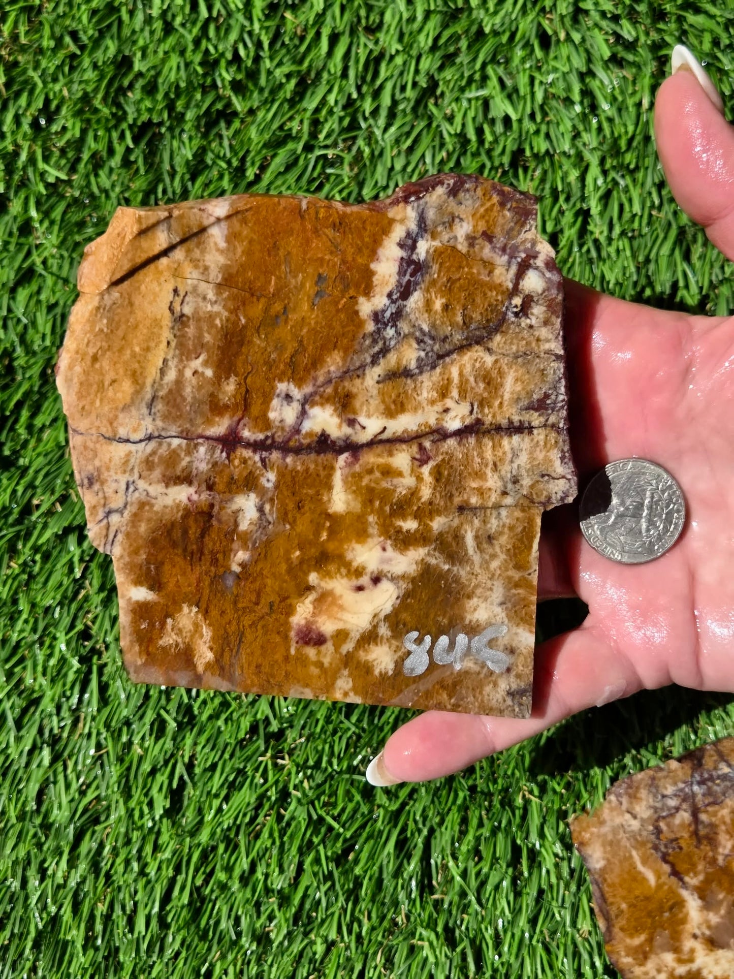 Burro Creek Jasper Slabs R841–847