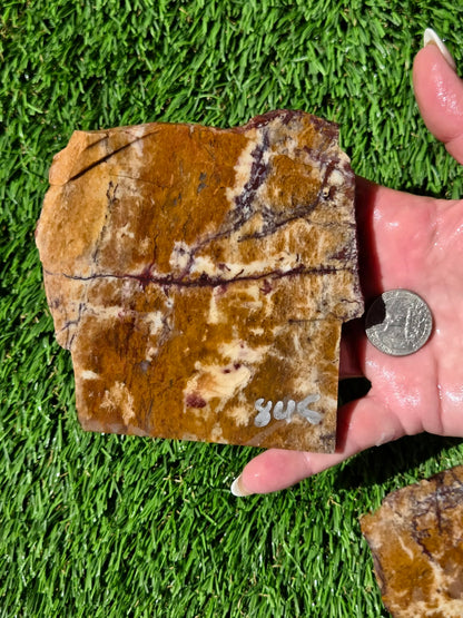 Burro Creek Jasper Slabs R841–847
