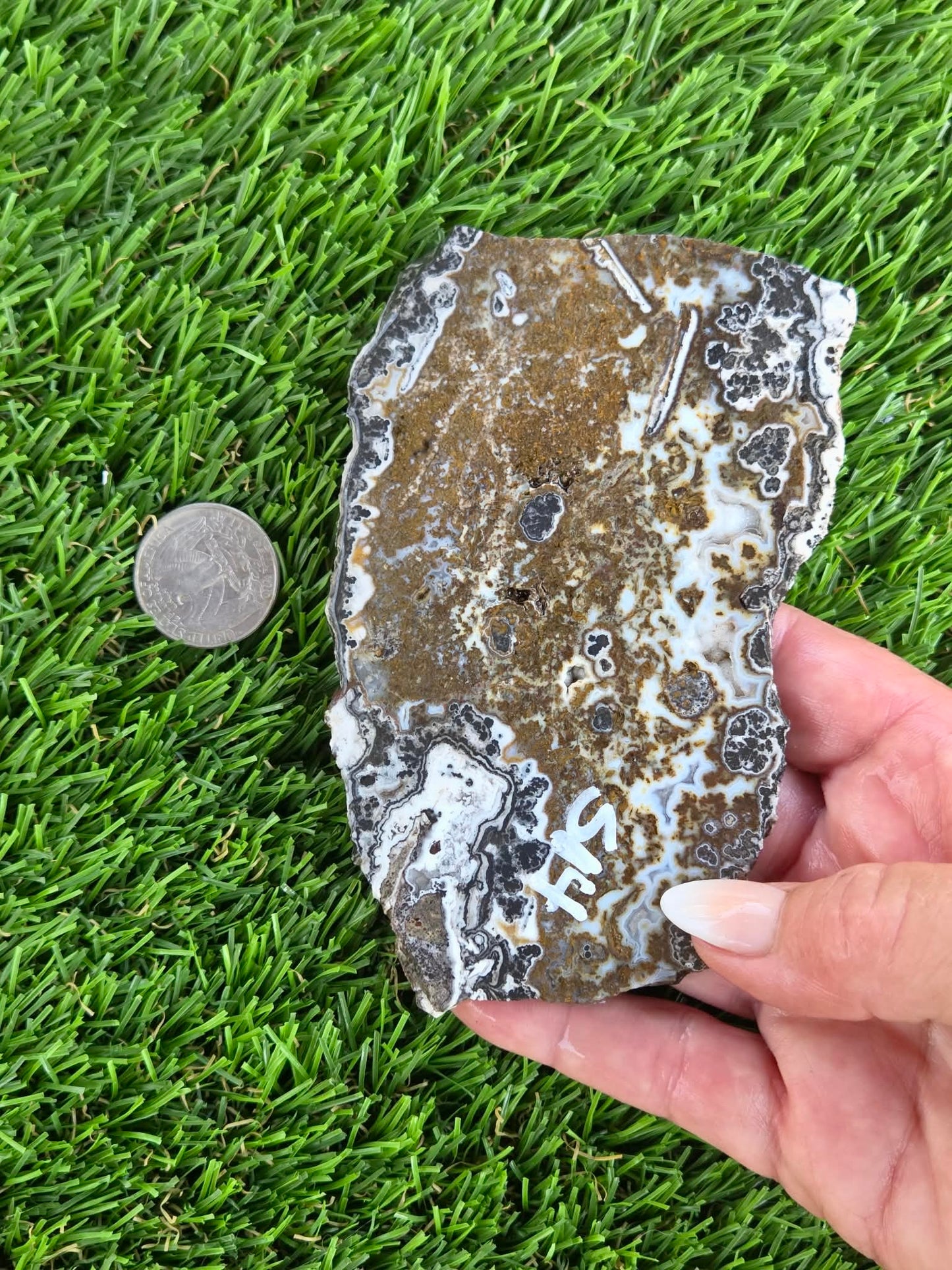 Camp Verde Agate Slabs  K512-515
