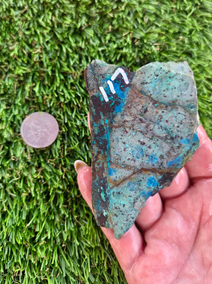 Shattuckite with Azurite & Malachite Slabs B113-119