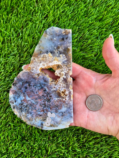Moss Agate with Dendritic Inclusions Slabs Q799–800