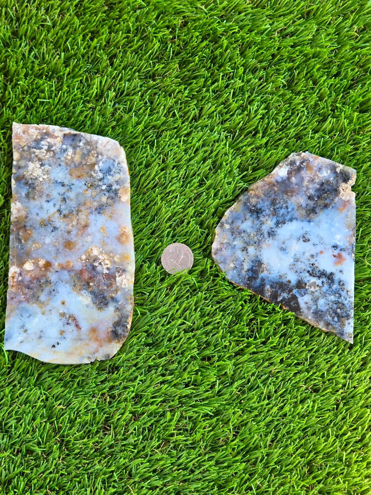 Moss Agate with Dendritic Inclusions Slabs Q797–798