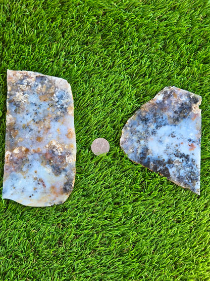 Moss Agate with Dendritic Inclusions Slabs Q797–798