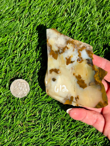 Oregon Polka Dot Jasper Slabs M612-617