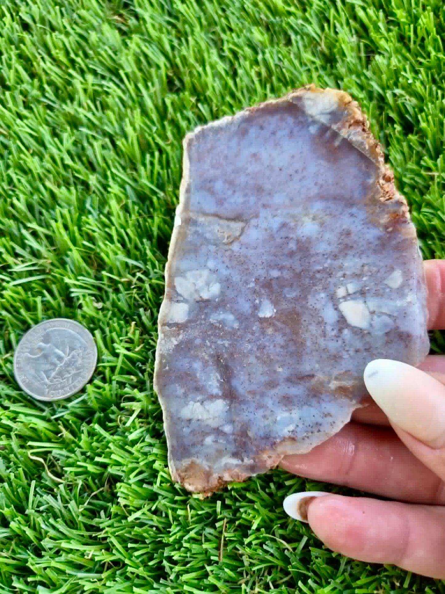 Purple Burro Creek Agate Slab F281-286