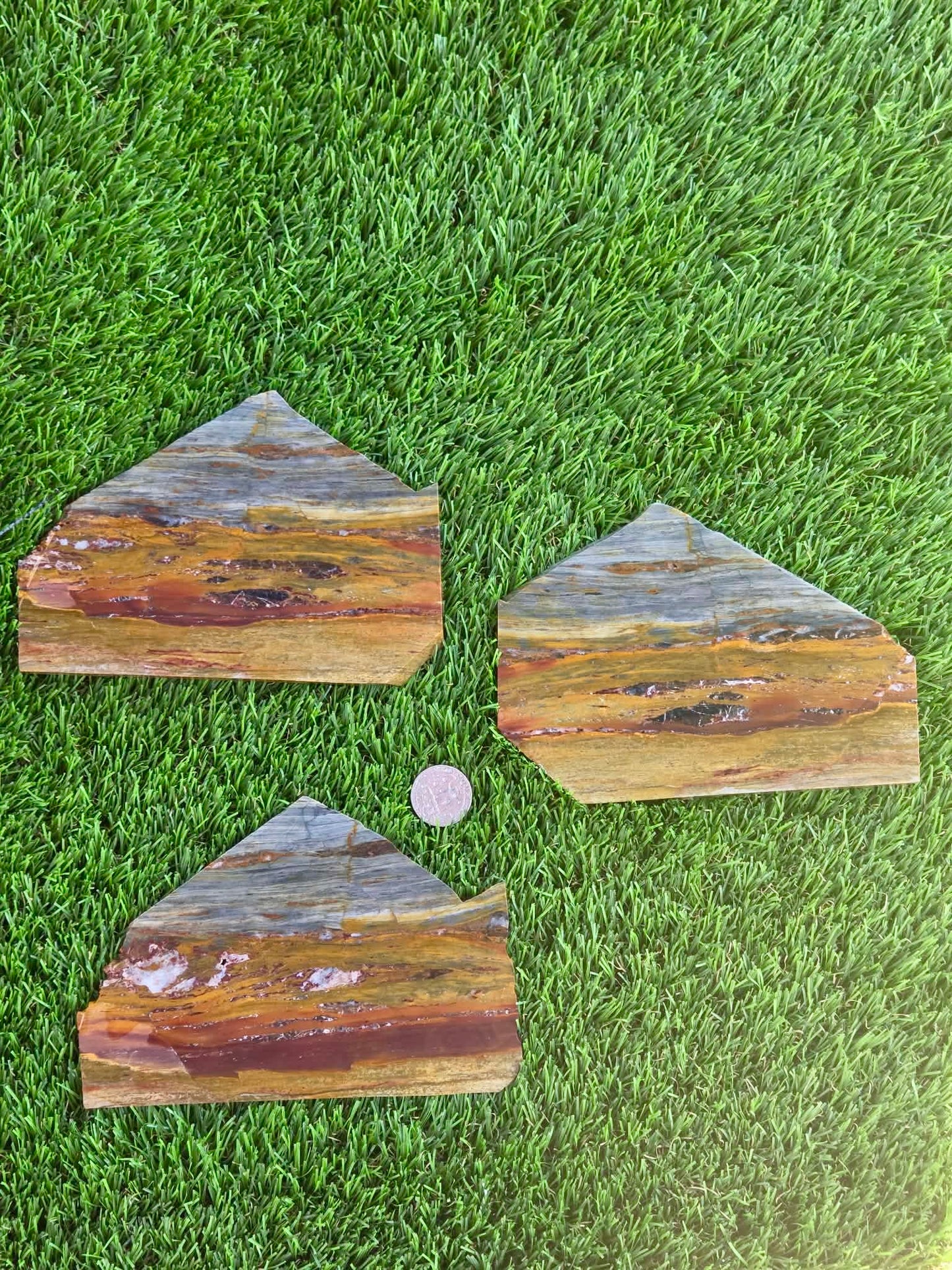 California Picture Jasper Slabs Q805–807