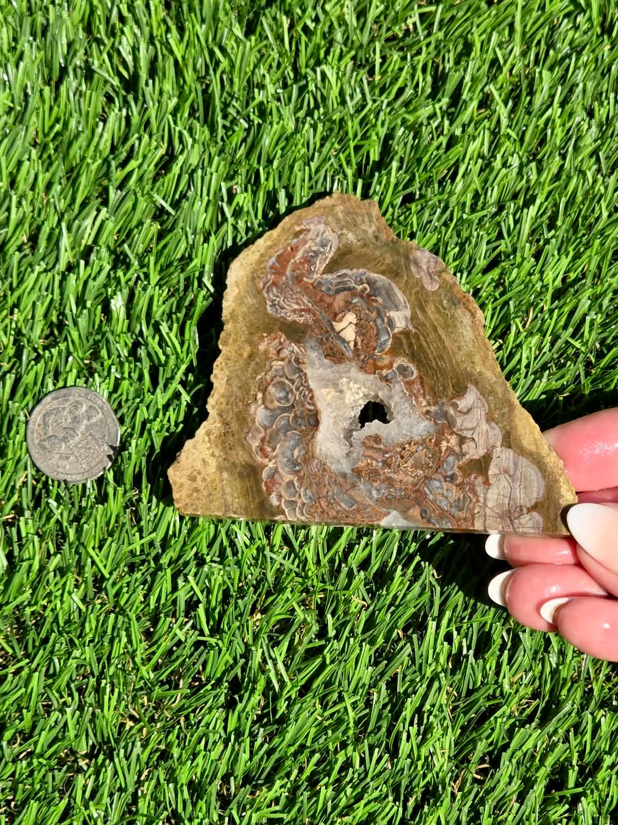 Green Mushroom Rhyolite M630-638