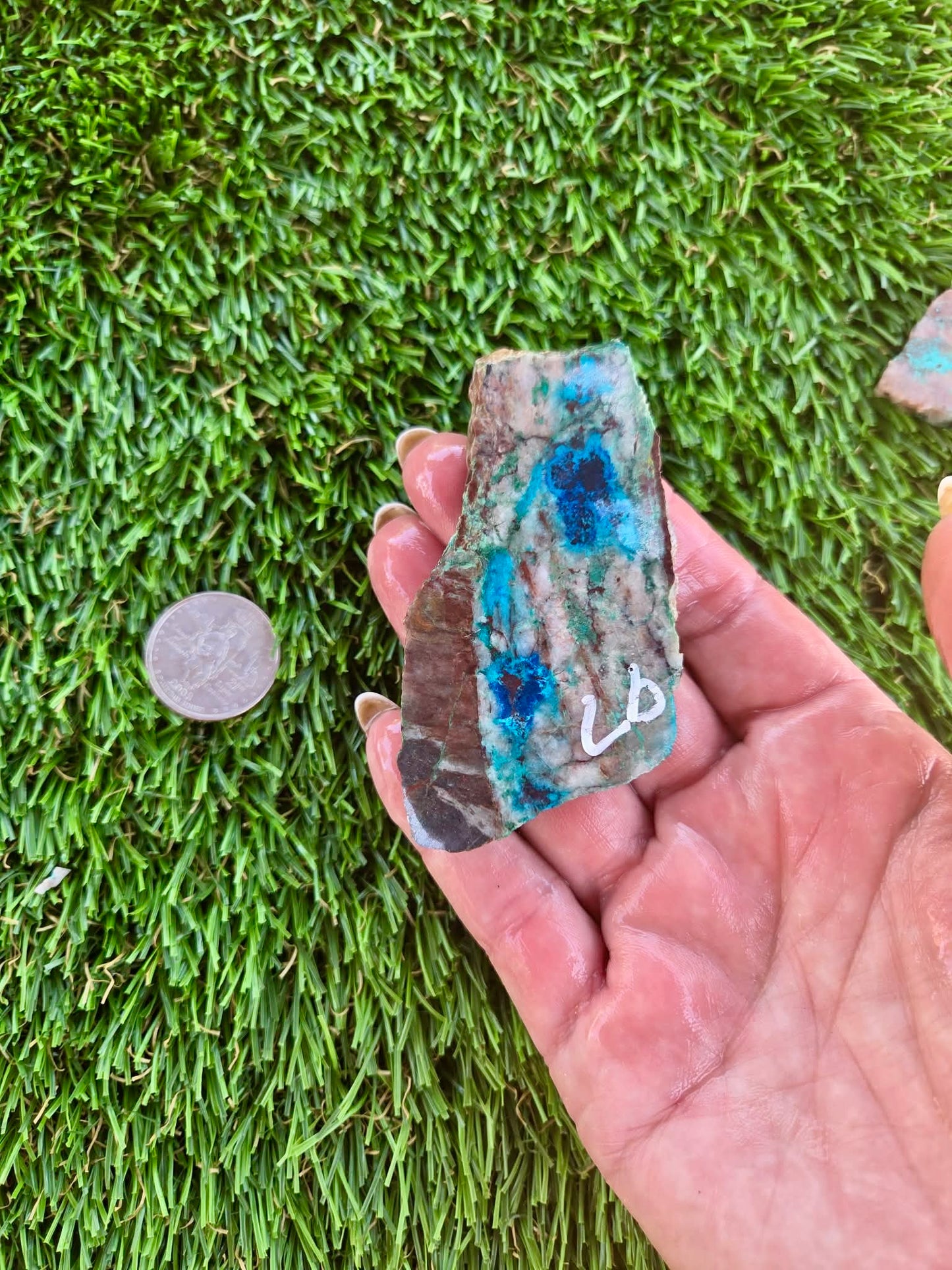 Shattuckite Slabs B95-100