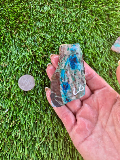 Shattuckite Slabs B95-100