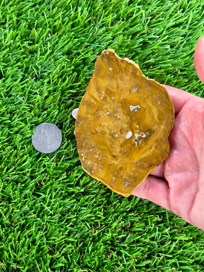 Mustard Picture Jasper Slabs N673-677