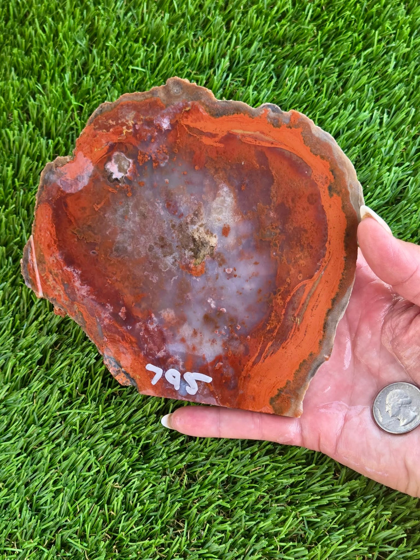 Red Carnelian Fortification Agate Slabs Q794–796