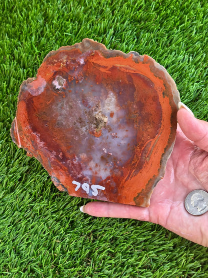 Red Carnelian Fortification Agate Slabs Q794–796