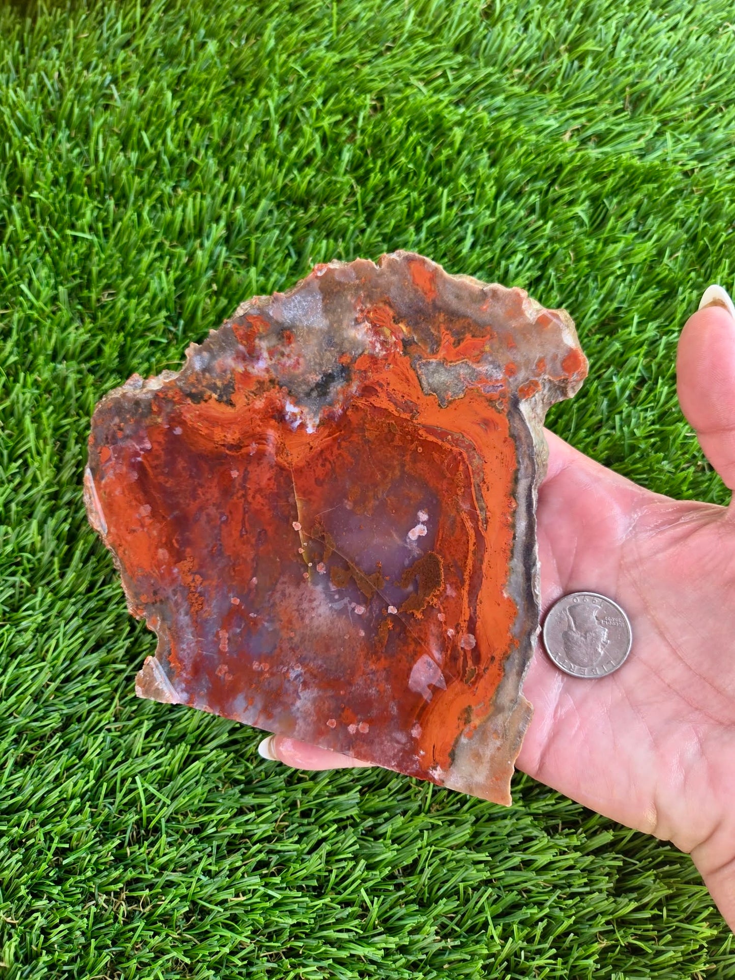 Red Carnelian Fortification Agate Slabs Q794–796