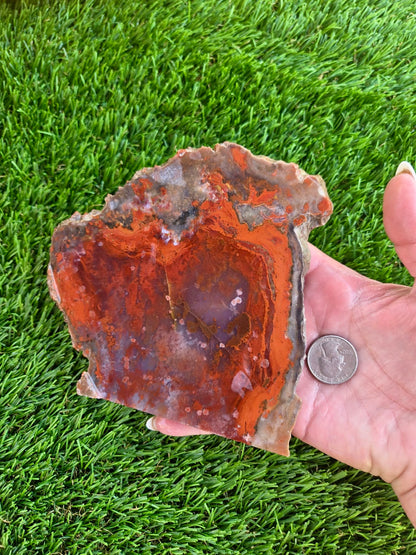 Red Carnelian Fortification Agate Slabs Q794–796