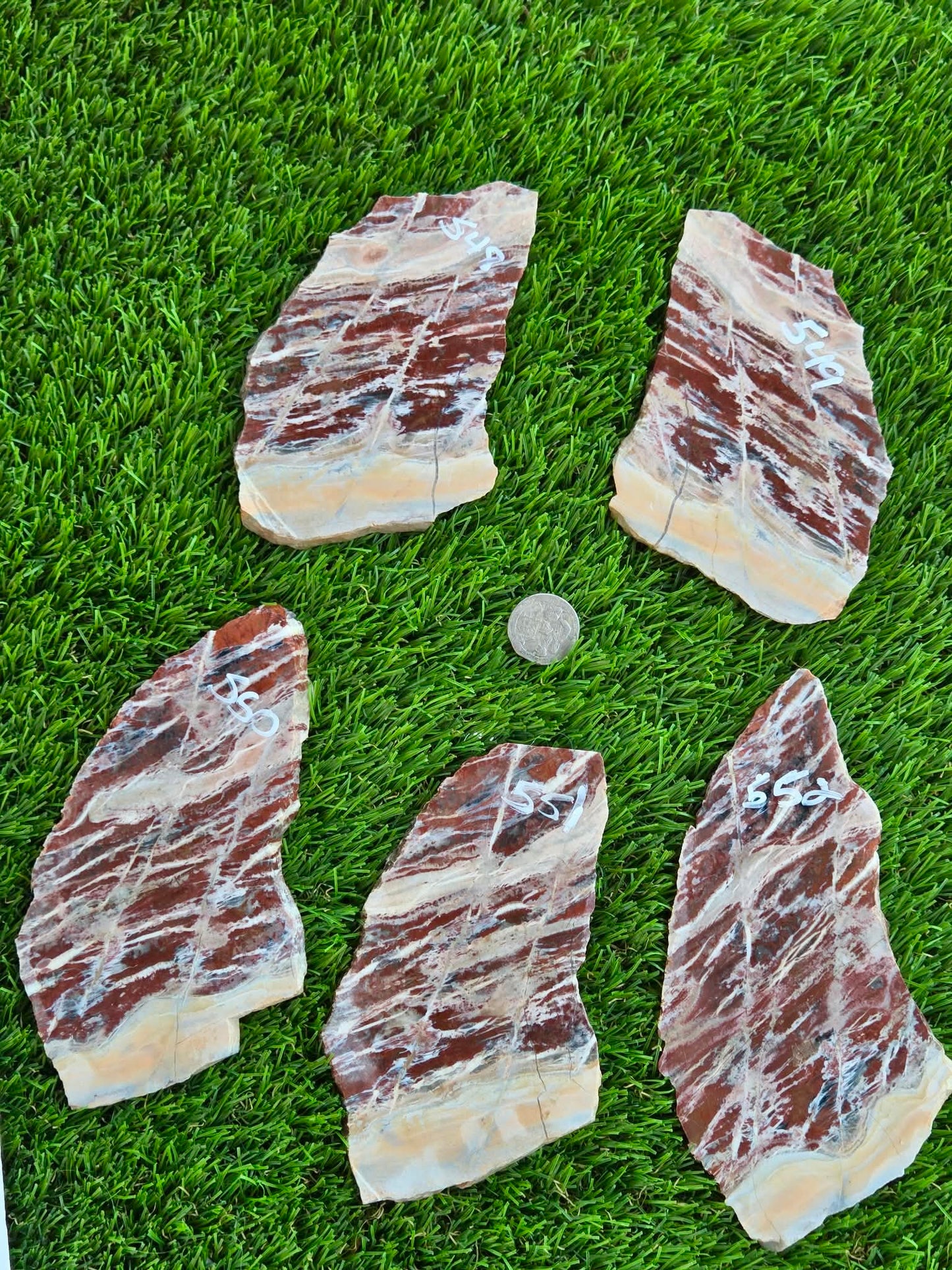 Red Creek Brecciated Jasper Slabs L548-552