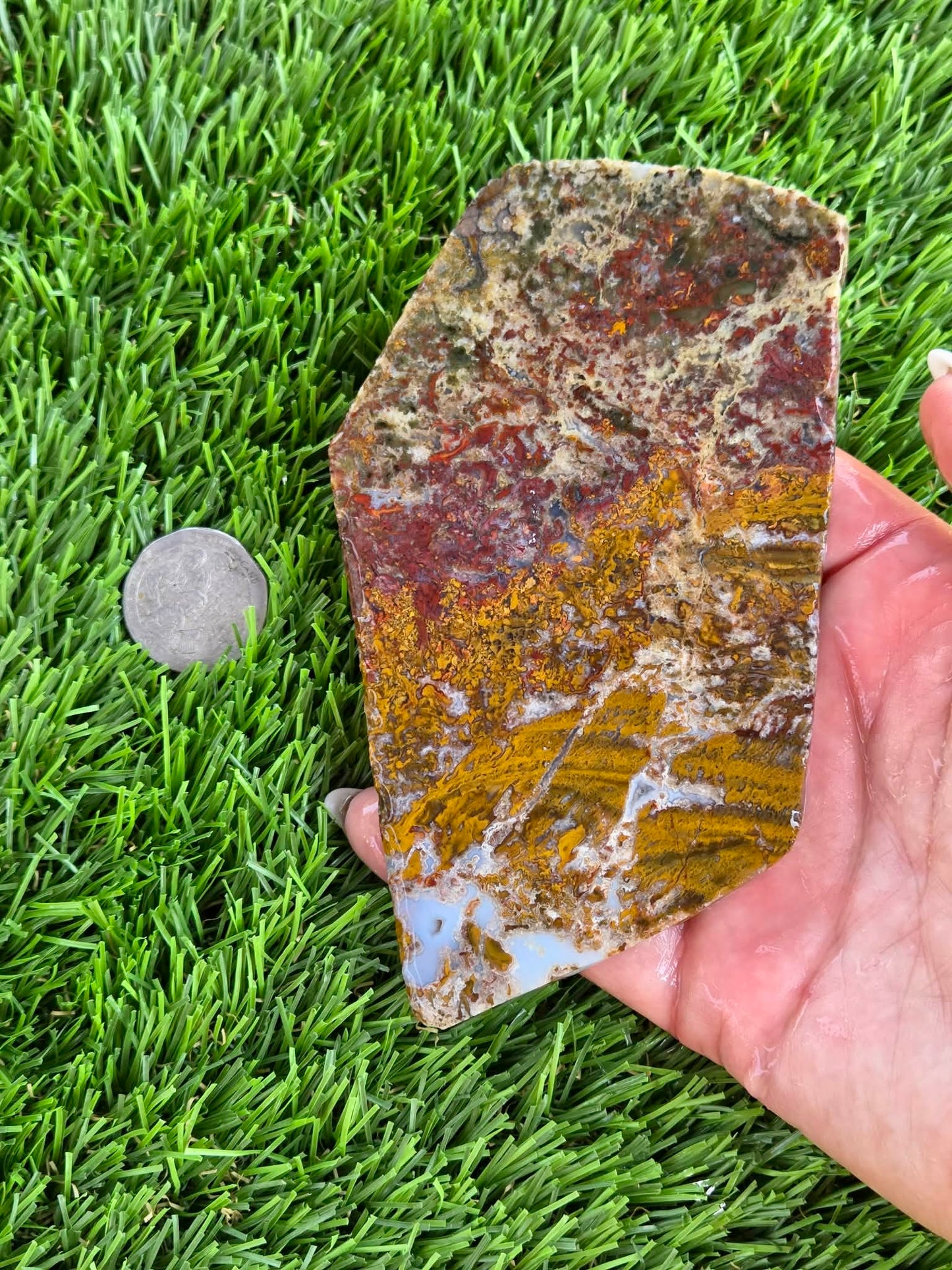Camp Verde Moss Agate Slabs M591-594