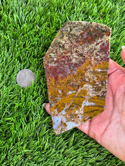 Camp Verde Moss Agate Slabs M591-594