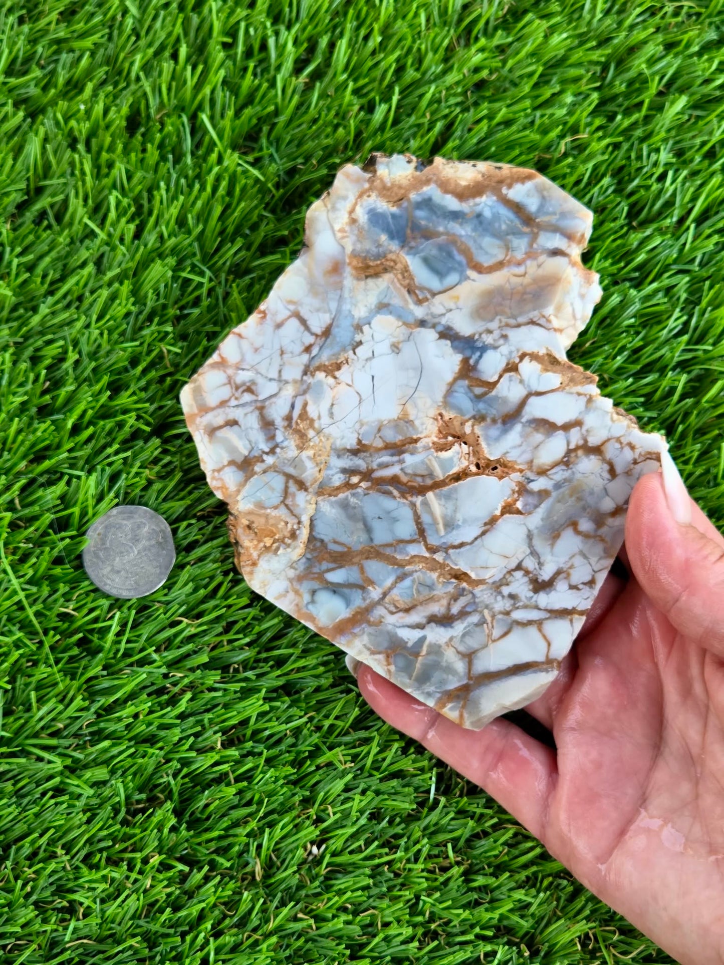 Natural Brecciated Jasper Slabs N645-649