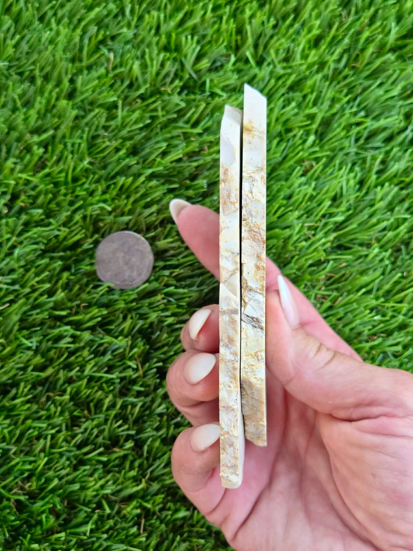 Picture Agate Slabs L569-570