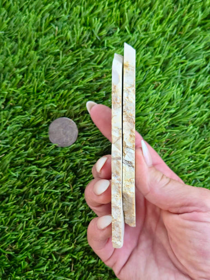 Picture Agate Slabs L569-570