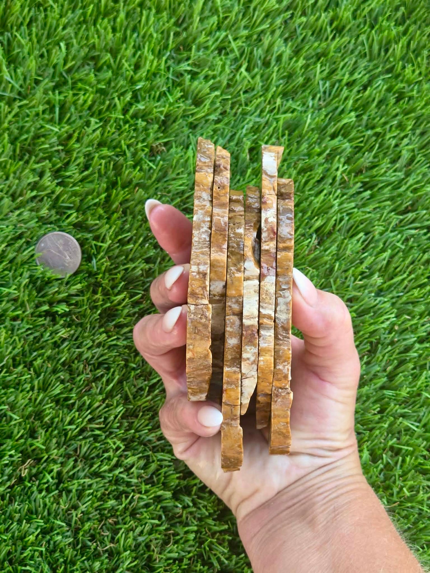 Brown Agatized Petrified Wood Slabs I420-427