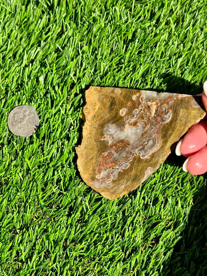 Green Mushroom Rhyolite M630-638