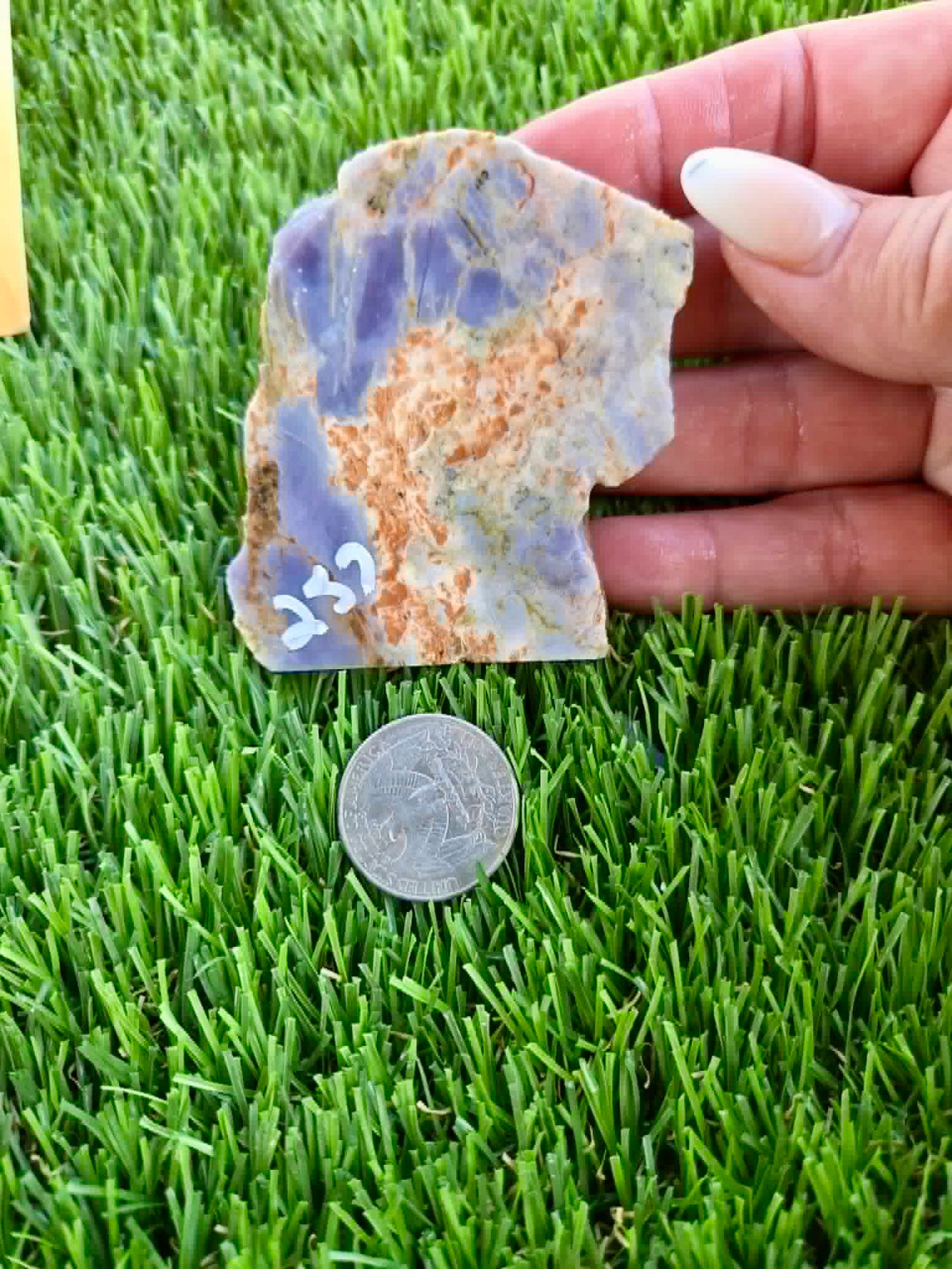 Purple Burro Creek Agate Slab 252-257