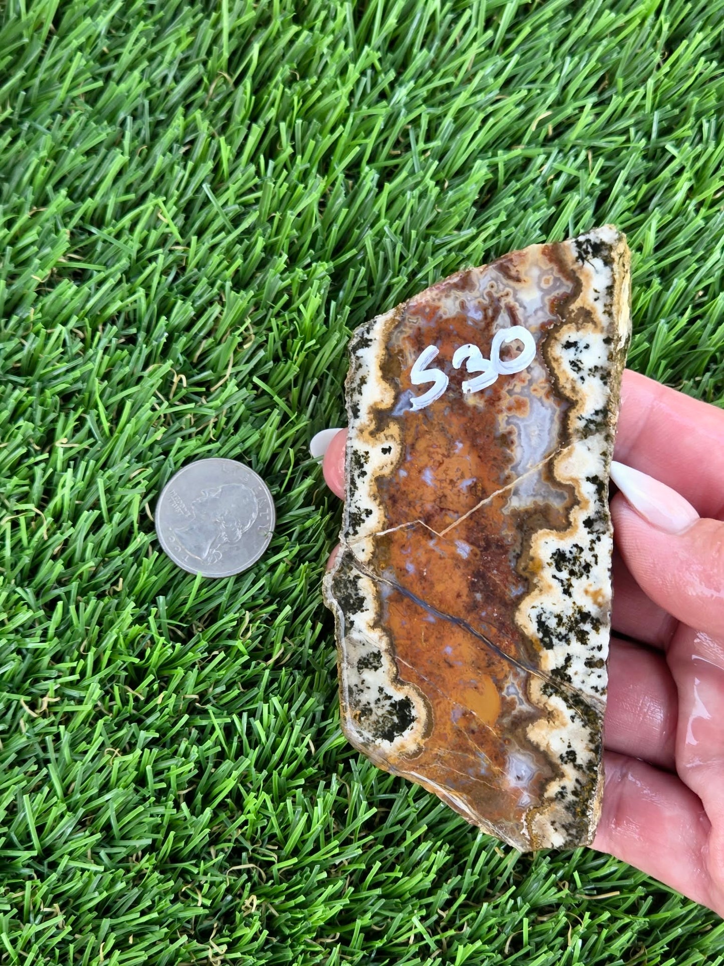 Chihuahua Lace Agate Slabs K530-533