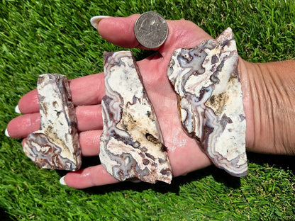 Camp Verde Agate Slab Bundle SB111