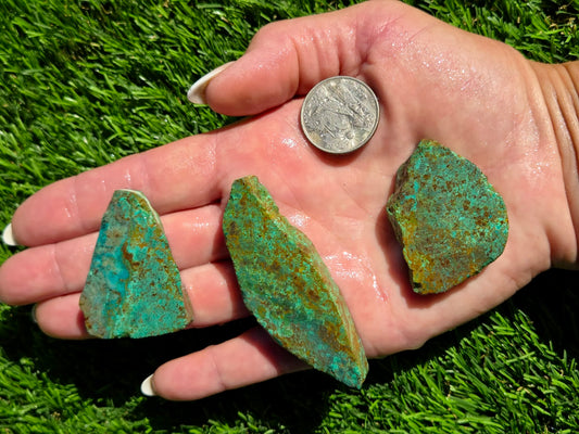 Globe Chrysocolla Slab Bundle-SB18