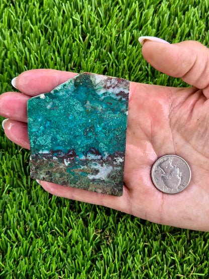 Globe Chrysocolla & Malachite Slabs V991–995