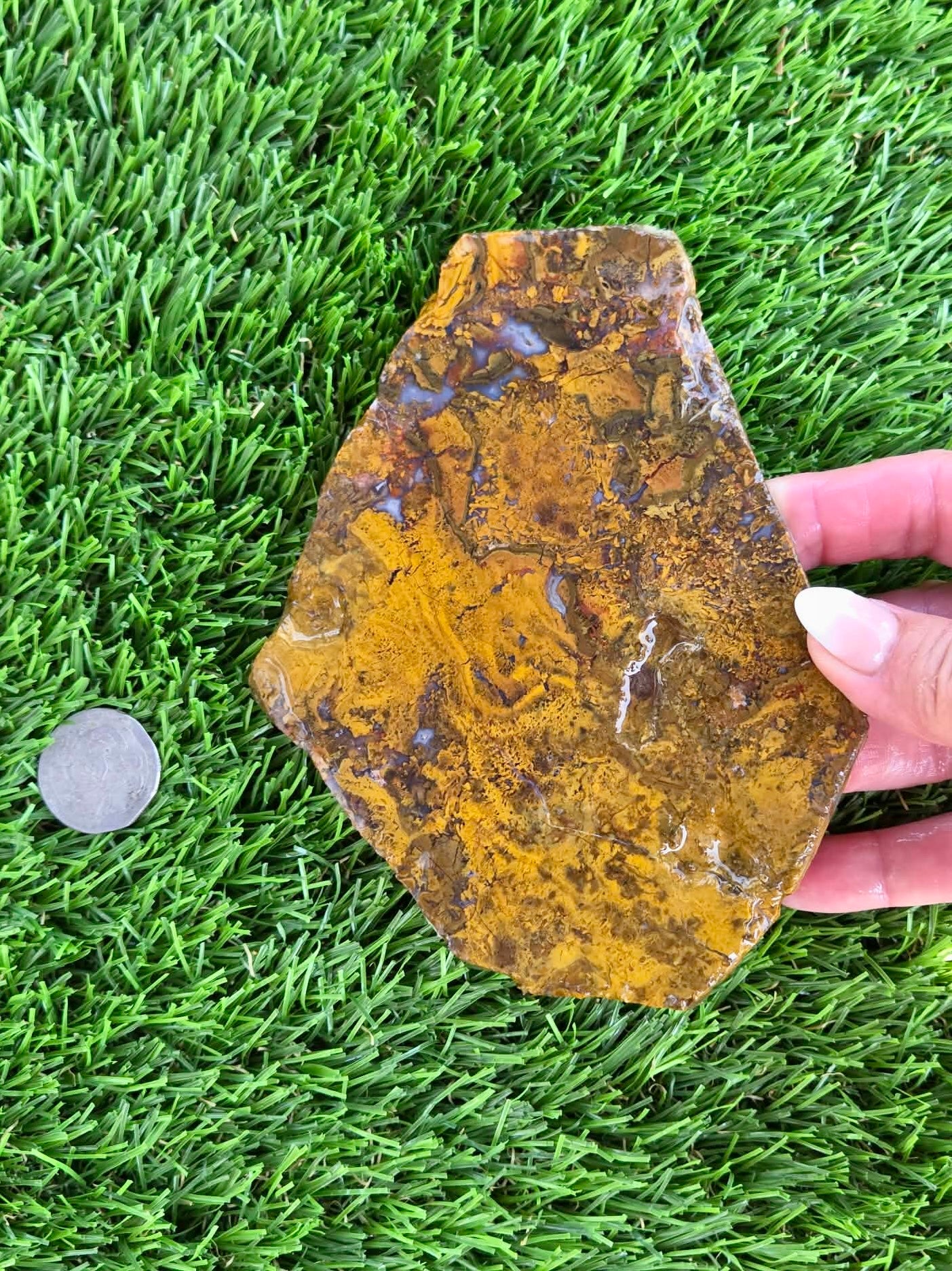 Camp Verde Moss Agate Slabs M599-601