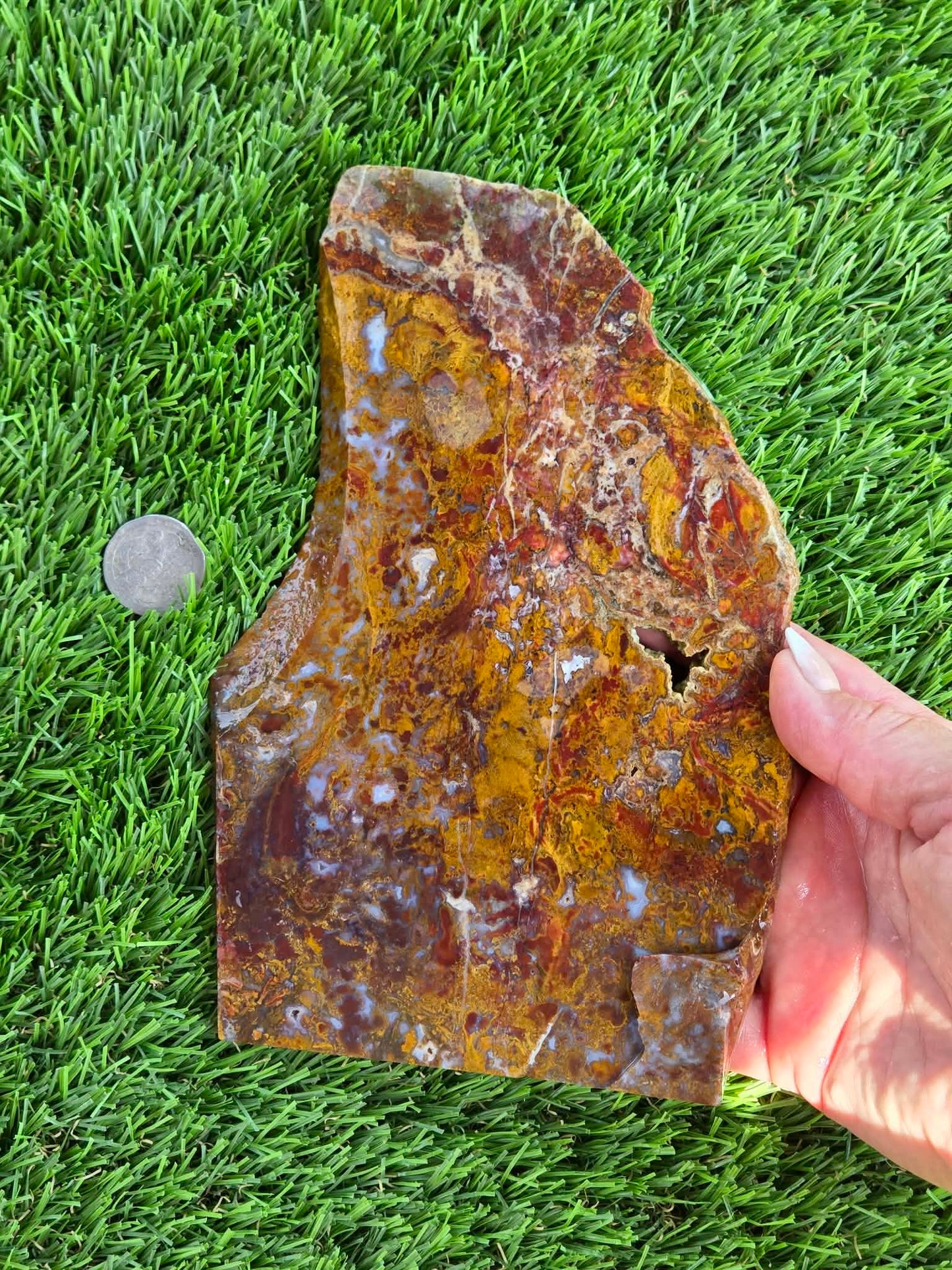 Camp Verde Moss Agate Slabs M591-594