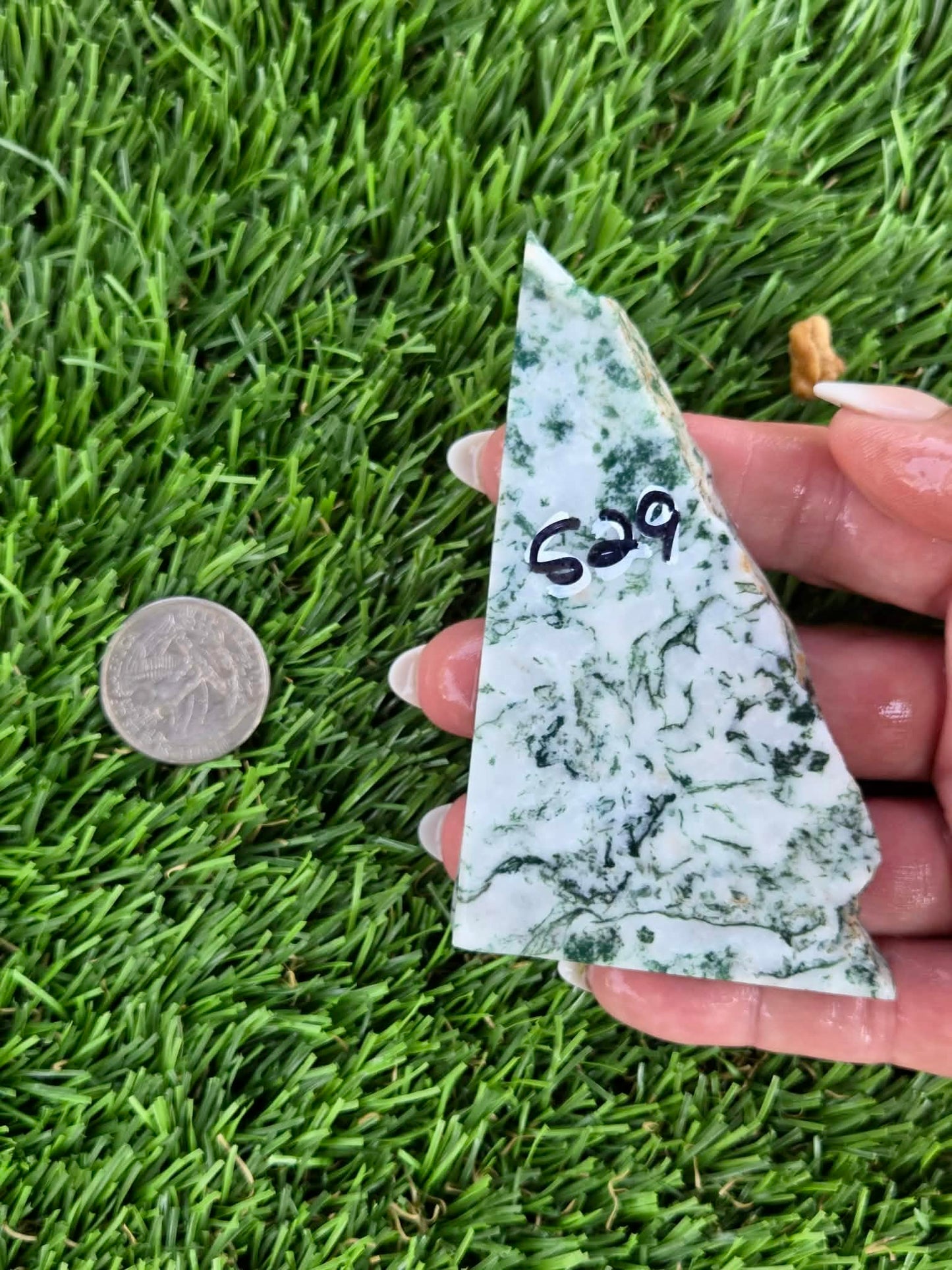 Tree Agate Slabs K523-529
